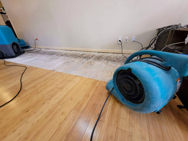 Professional Burst Pipe Water Damage technician working in Maywood, CA